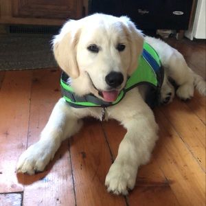 Meet your Posher, Julia